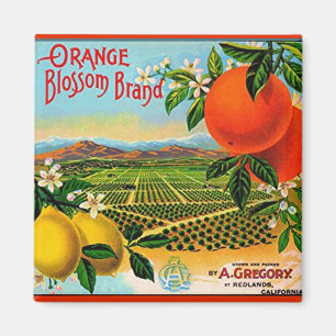 WQ MAGNET: Orange Blüten-Kisten-Aufkleber Magnet