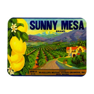 WQ MAGNET: Vintages Sonnenlicht Magnet