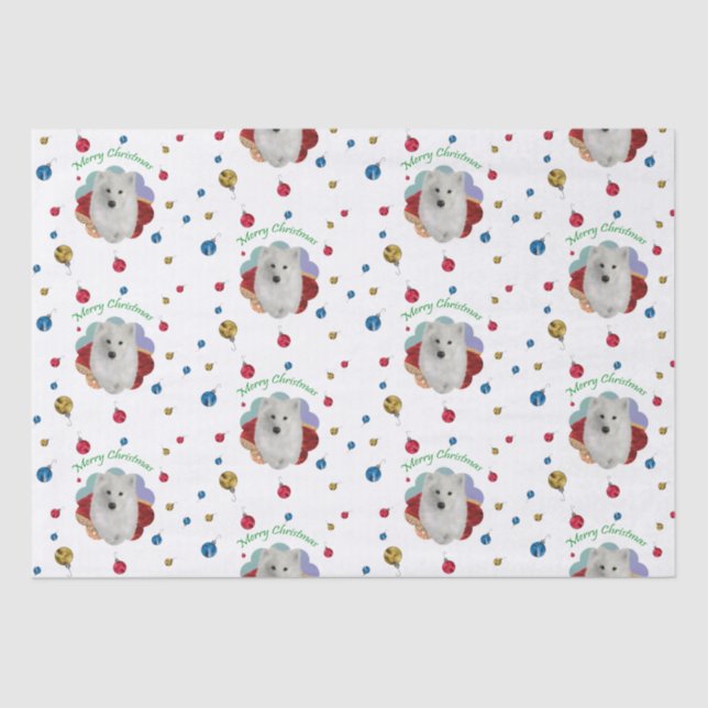Wrap aus Samoyed Tissue Seidenpapier (Vorderseite)