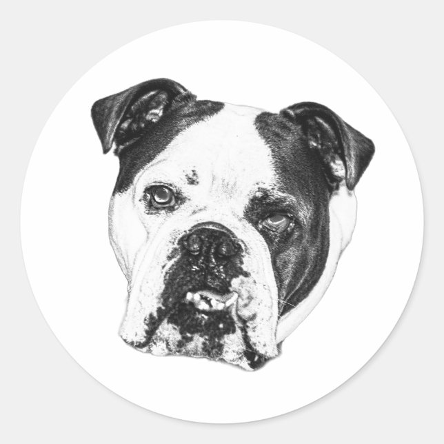 Wrap Siegel Bulldog Runder Aufkleber (Vorderseite)