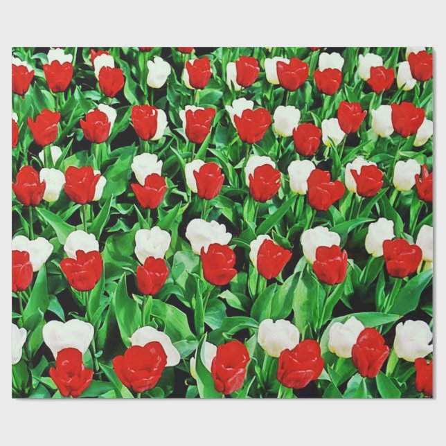 Wrapping Paper Geschenkpapier (Flach)