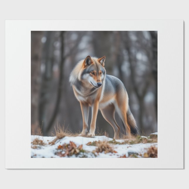 Wrapping paper  geschenkpapier (Flach)