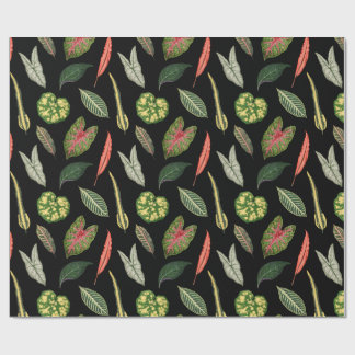 Wrapping Paper Geschenkpapier