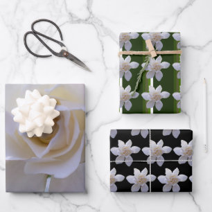 Wrapping Paper Set - Gardenias Geschenkpapier Set