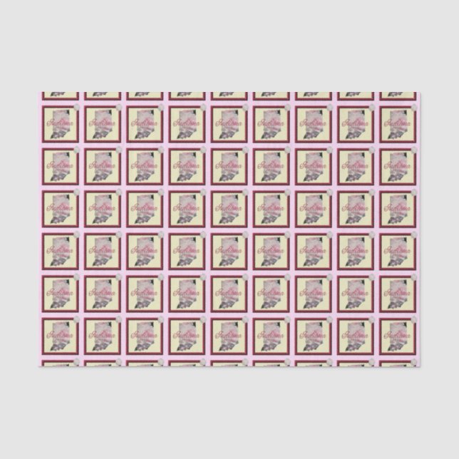 Wrapping Tissue - INDIANA - Gerahmtes Symbol Seidenpapier (Vorderseite)