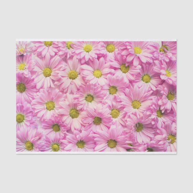 Wrapping Tissue - Pink Gerbera Daisies Seidenpapier (Vorderseite)