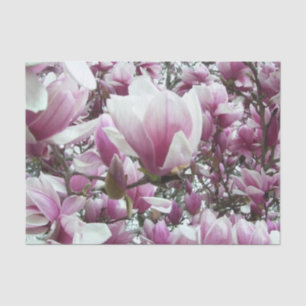 Wrapping Tissue - Saucer Magnolia Seidenpapier