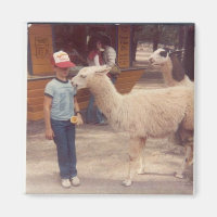 Wrecked 'Um Biting Llama