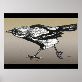 Wren auf dem Laufenden Poster