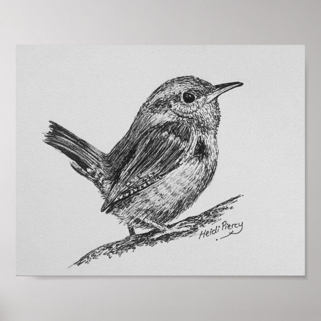 Wren Bird Art Poster (Vorne)