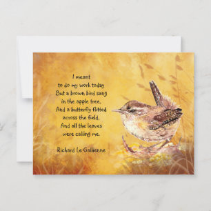 Wren Bird for Bird Lovers Postkarte
