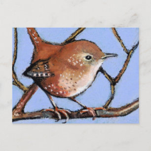 WREN, BIRD, in Ölpastel Postkarte
