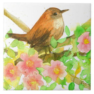Wren Bird in Tree Rugosa Wild Pink Roses Botanisch Fliese