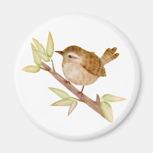 Wren Bird Magnets Magnet