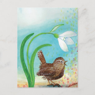 Wren Bird singt in der Morgendämmerung im Frühling Feiertagspostkarte