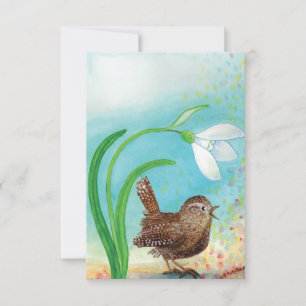 Wren Bird singt in der Morgendämmerung im Frühling Mitteilungskarte