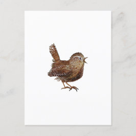 Wren Bird singt laut und schön Postkarte