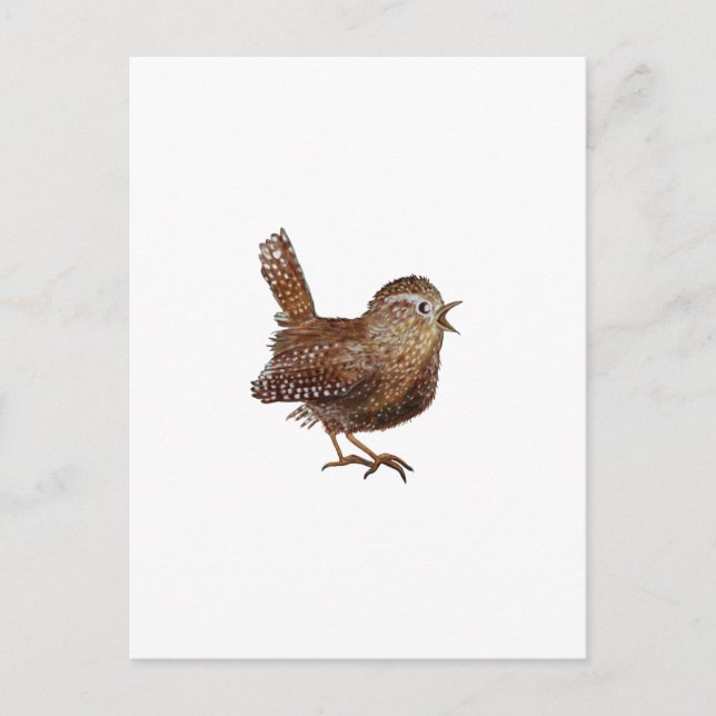 Wren Bird singt laut und schön Postkarte (Vorderseite)