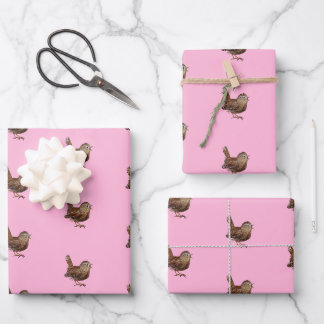 Wren Bird (Troglodytes Troglodytes) Geschenkpapier Set