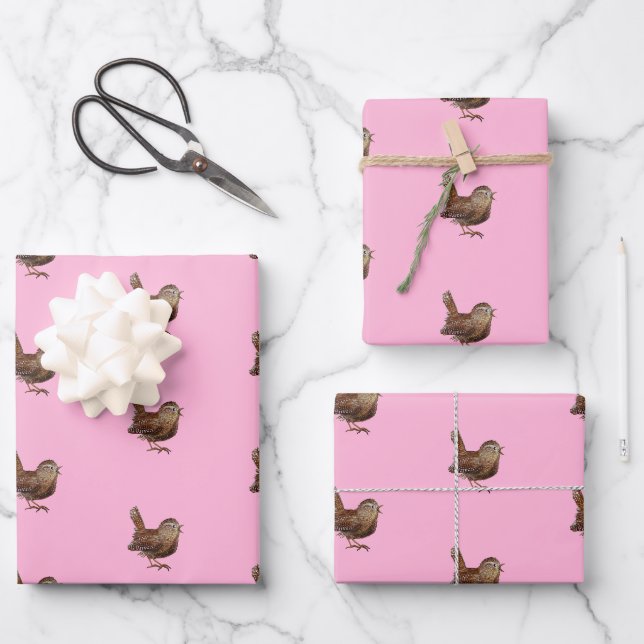 Wren Bird (Troglodytes Troglodytes) Geschenkpapier Set (Vorderseite)