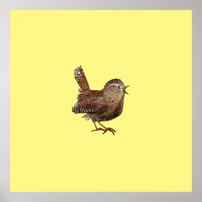 Wren Bird (Troglodytes Troglodytes) Poster (Vorne)