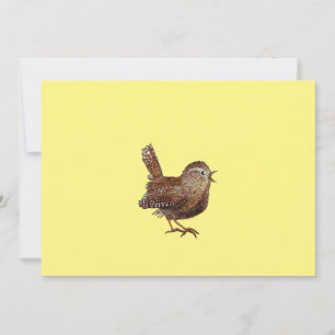 Wren Bird (Troglodytes Troglodytes) singen Einladung