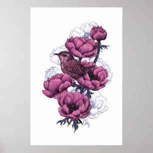 Wren-Bouquet Poster