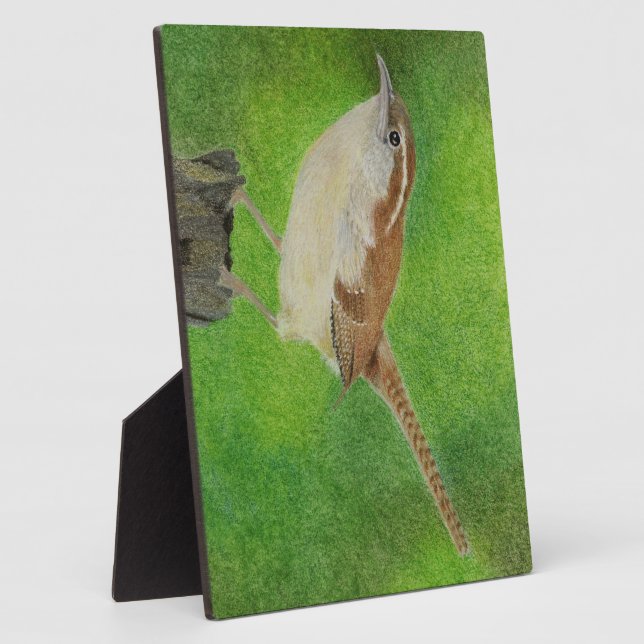 Wren Fotoplatte (Seite)