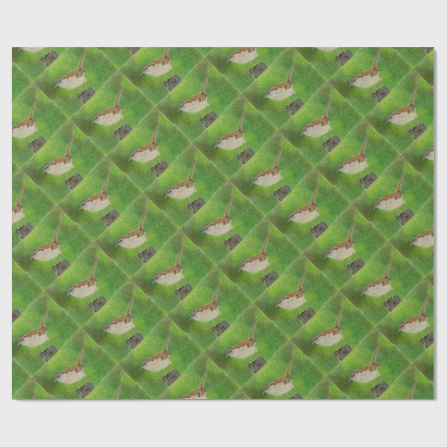 Wren Geschenkpapier (Flach)