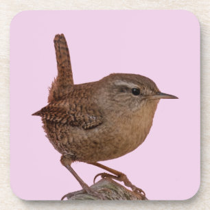 Wren Getränkeuntersetzer