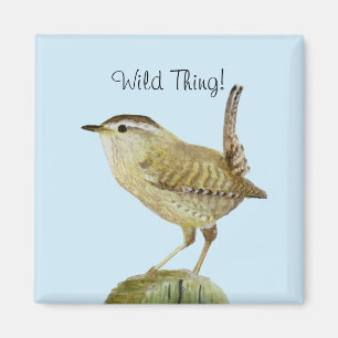 Wren Magnet
