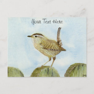 Wren Postkarte