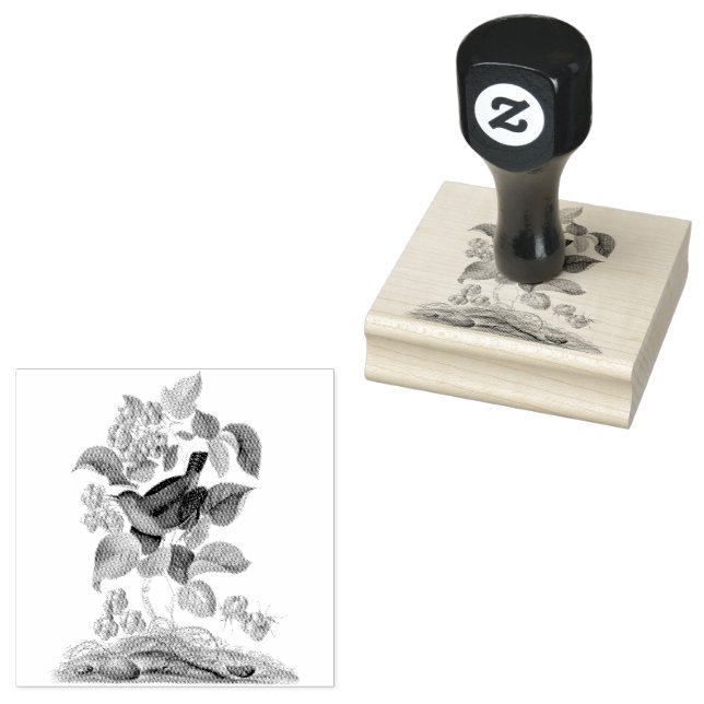 Wren Raspberry Vintag Scrapbooking Gummistempel (Stempel)