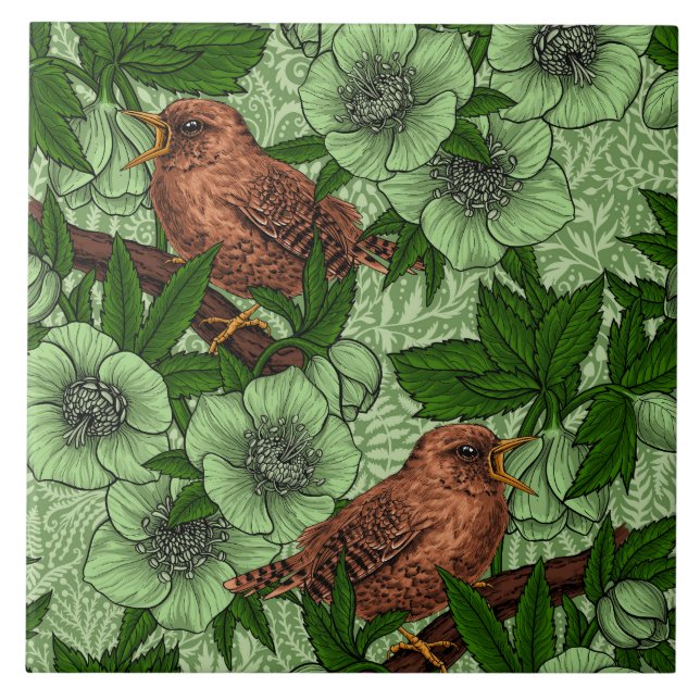 Wren und Hellebore, hellgrün Fliese (Vorderseite)