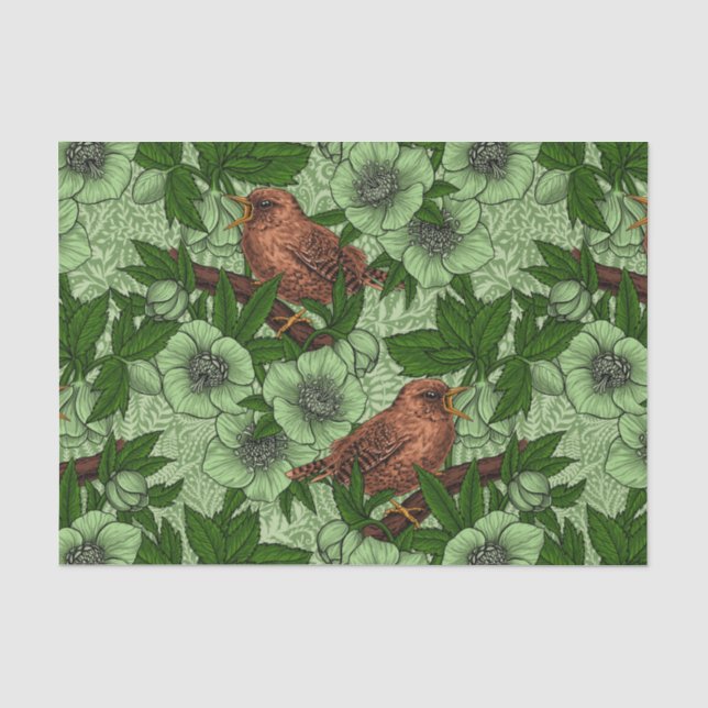 Wren und Hellebore, hellgrün Seidenpapier (Vorderseite)