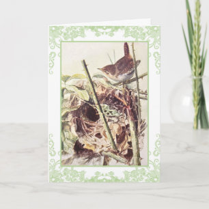 Wren Vintage Geburtstagskarte Karte