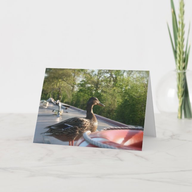 Wrenbury Duck Llangollen Canal Notecard Karte (Vorderseite)