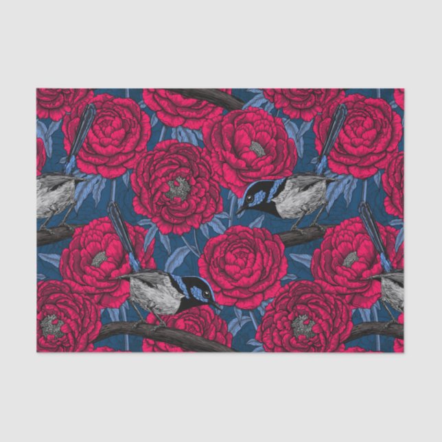 Wrens in den Volkswirtschaften Seidenpapier (Vorderseite)