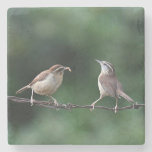 Wrens Untersetzer