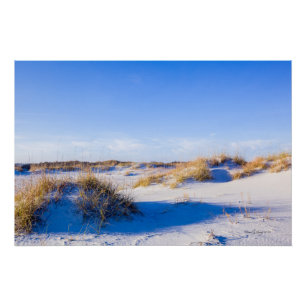 Wrightsville Beach Dunes Poster