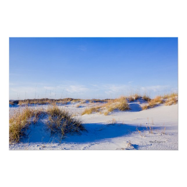 Wrightsville Beach Dunes Poster (Vorderseite)