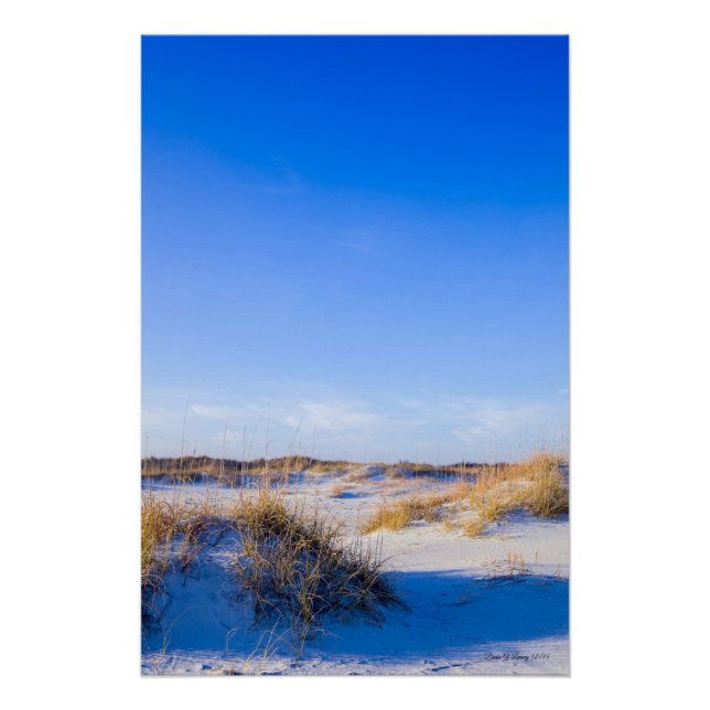 Wrightsville Beach Dunes Poster (Vorderseite)