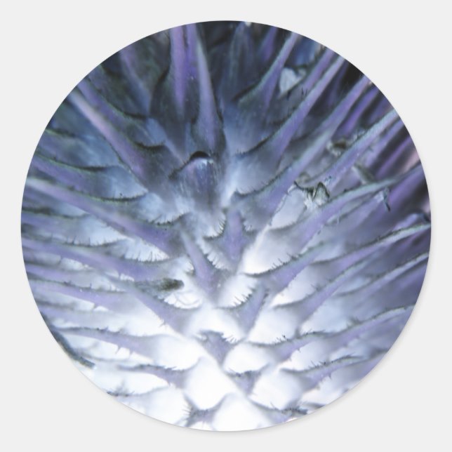 Wuld Grass Ice Princess Sticker (Vorderseite)