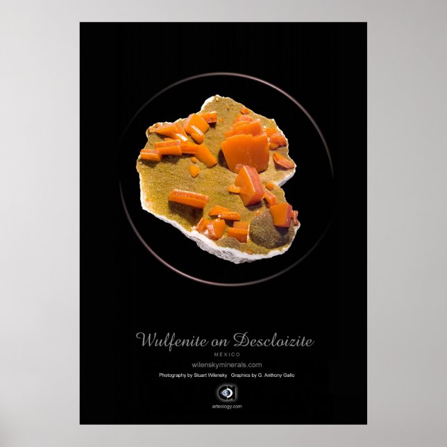 WULFENITE POSTER (Vorne)