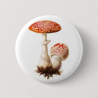 Wulstlings-Pilz-Knopf Button