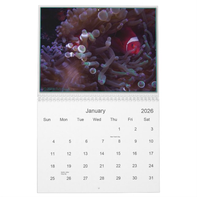 WUNDER DARUNTER KALENDER (Jan 2026)