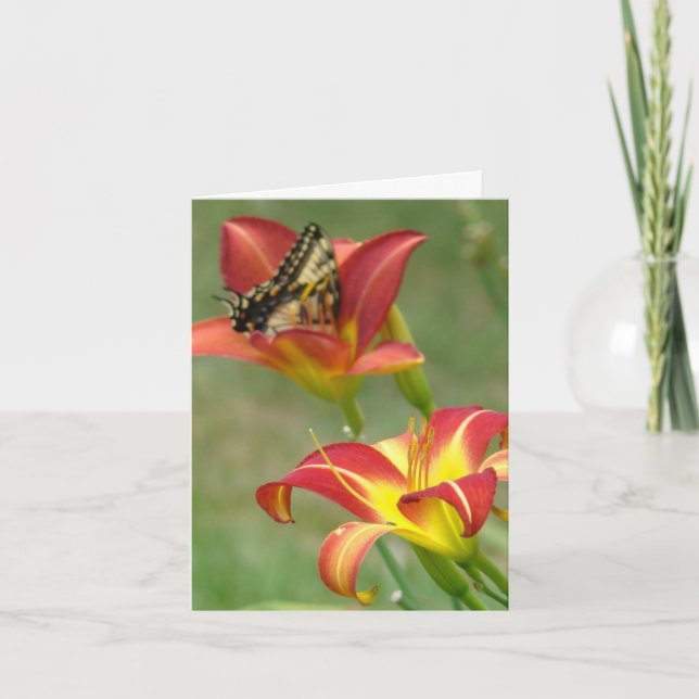 Wunder jenseits karte (Vorderseite)