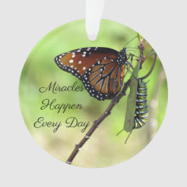 Wunder - Schmetterling / Raupe Akryllisch Ornament