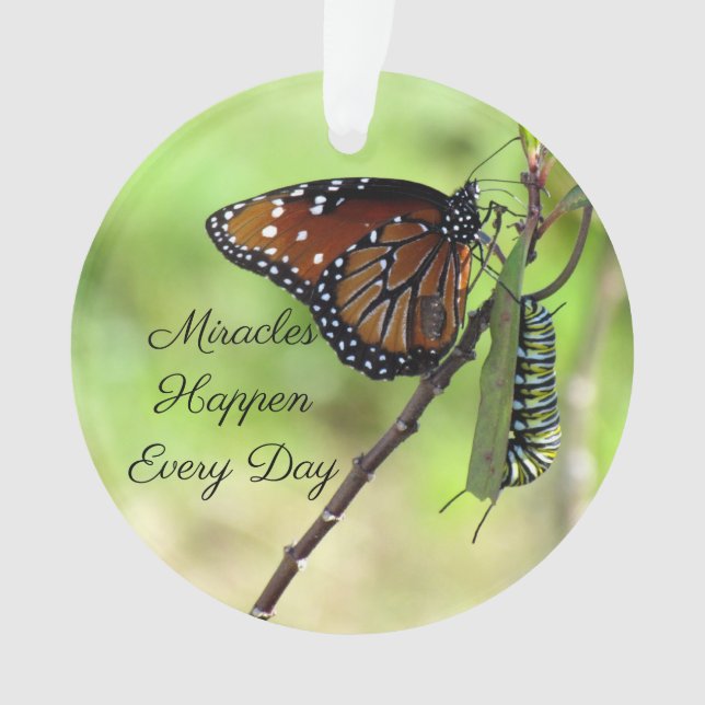 Wunder - Schmetterling / Raupe Akryllisch Ornament (Vorderseite)