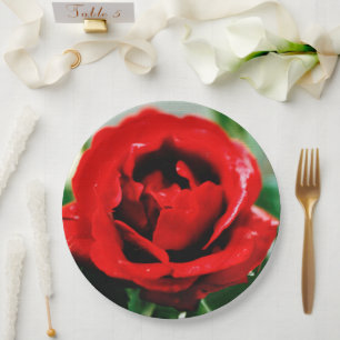 Wunderbare Rote Rose Liebe Pappteller